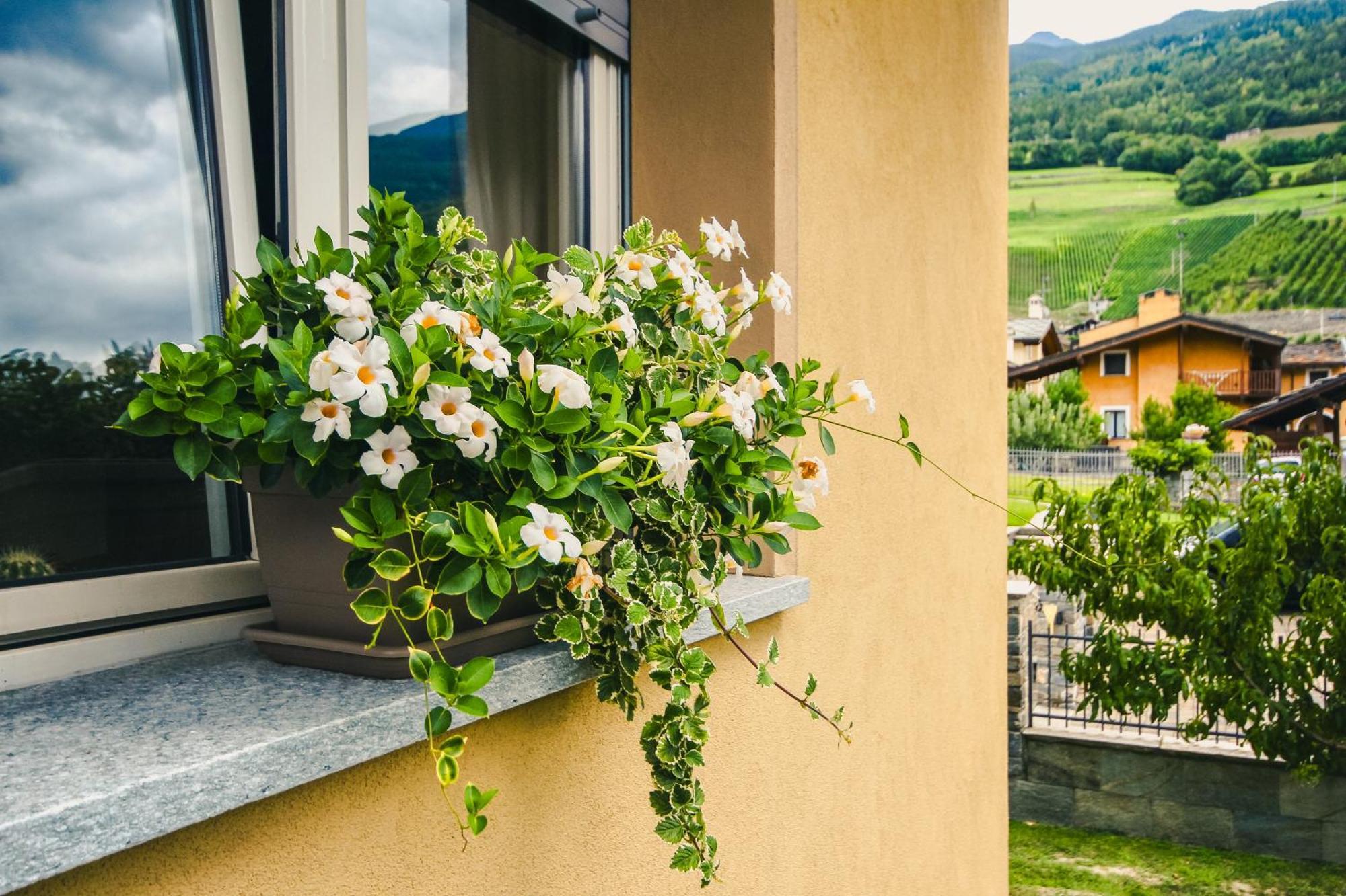 Apartment L'Envers Aosta Exterior foto